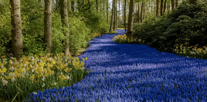 pring cruises are a wonderful time to be away from the maddening crows, beautiful flowers and fresh local produce.