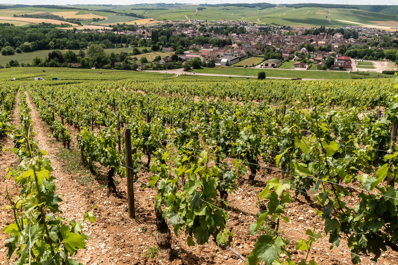 Chablis is a must visit in the heart of France.
