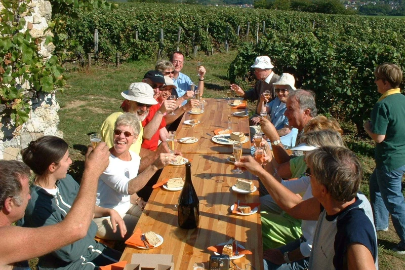 Sparkling wine in the vineyard on a sunny day. What more could you ask for?