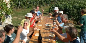 Any sparkling wine is a good wine to use for a family celebration