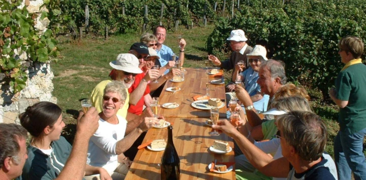 Any sparkling wine is a good wine to use for a family celebration