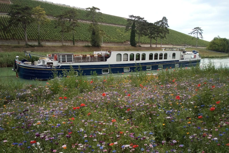 Hotel barge Panache cruising near Epernay France