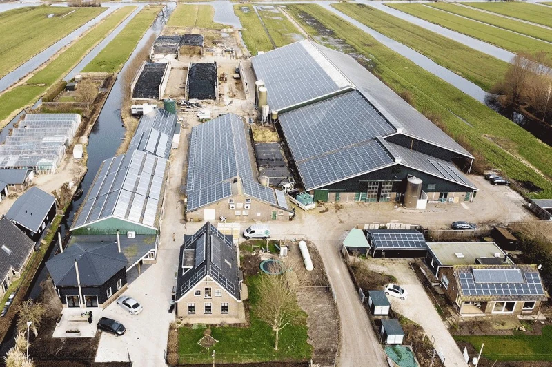 farm buildings where they make gouda cheese