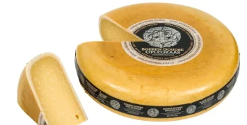 Gouda cheese tasting on board Panache in Holland