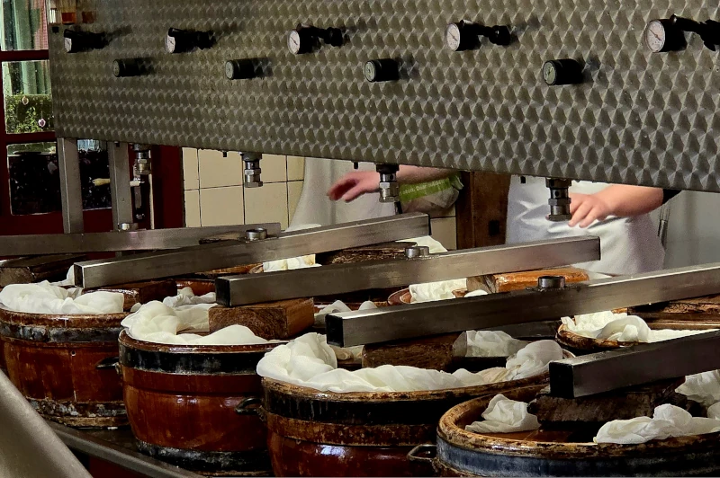 tradtional making of gouda cheese
