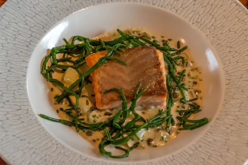 Magna Carta Cuisine