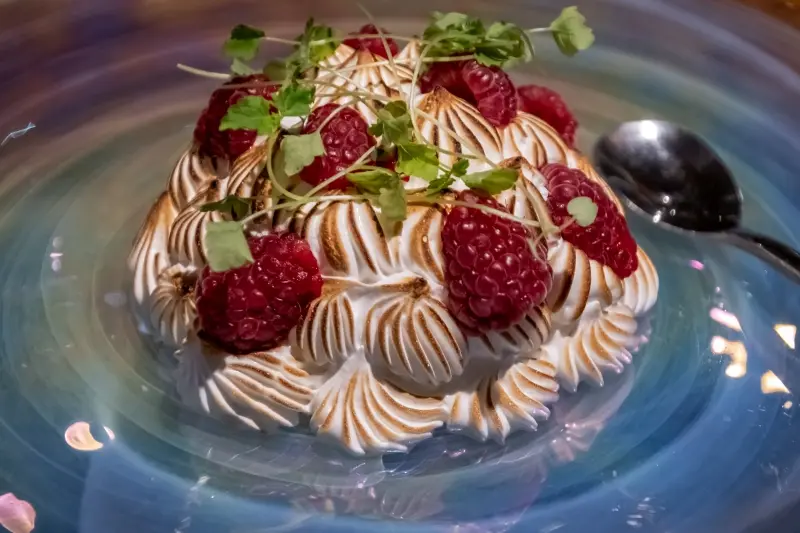 magna carta desert