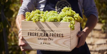 Boutique Champagne From Frerejean Frères